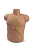8700-0718-01 ZOLL AutoPulse® Manikin لجهاز مزيل الرجفان ZOLL AutoPulse